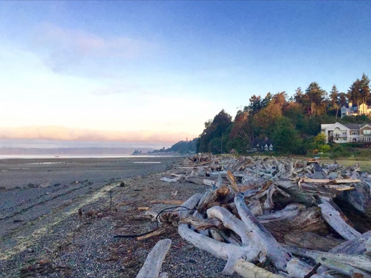 Normandy Park, WA community photo